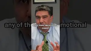 Out of Control Emotional Support Animal