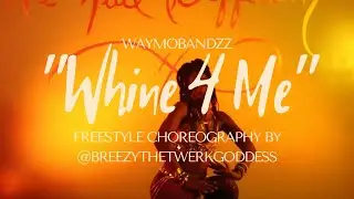 WayMoBandzz 