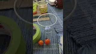 Saving your 2025 Tomato seeds Part 1