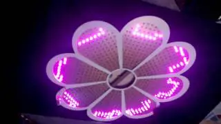 led full color nhay theo nhac moi 2015