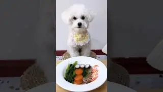 Top 5 Most Beautiful Dogs of 2024: Stunning Breeds You&rsquo;ll Love #beautifuldogs #dogsvideo