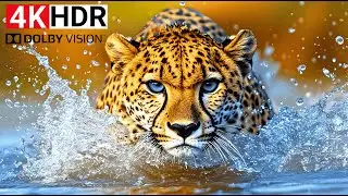 This World Doesn&rsquo;t Feel Real in 4K HDR&trade; 120fps | A Visual Journey Beyond Imagination (4K/8K TV)