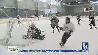 Ice rink proposal in Henderson