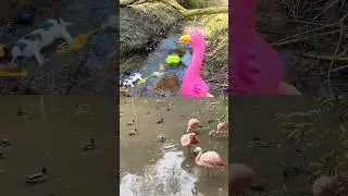 Stream Learning | Animal Names for Kids: Lizard Flamingo Bird Lion Rabbit