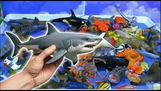 Множество игрушек с морскими животными. Учите названия морских животных. Развивающее видео для до...