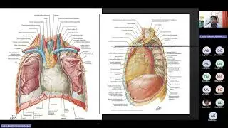 Heart and mediastinum Carlos Qui&ntilde;onez META MEDICINE