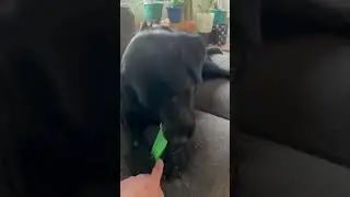 No time for dad 😔