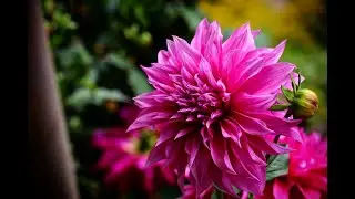 Eso Go Eso Go - Prabhat Sangeet song #673