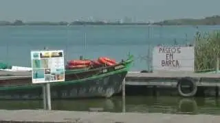 Lago de Albufera | Озеро Альбуфера в Валенсии