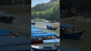 Langkawi Mangrove River Cruise Tour, Malaysia #shorts #gxmusicals #gx