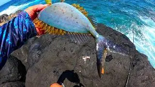 Ce Poisson Tire Fort... Pêche du Bord la Calée  LEURRE  BULDO (Fishing974)