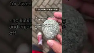 S3 Day 66 Rock Update