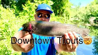 Burney Shasta Co.Northern California Urban Trout🤯🔥 secret 🤫 #trout #northerncalifornia #hunting