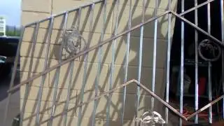 Top Notch custom gates