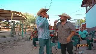Rosita De Guanajuato - Neno Torres fr De El Compa Piry y Sus Imponentes - En Vivo 2026