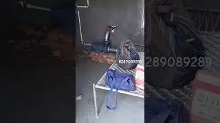 Lubi solar Pump 3HP .. 8289089289. #pump #solar #solarpump #powersolar #solaragriculture