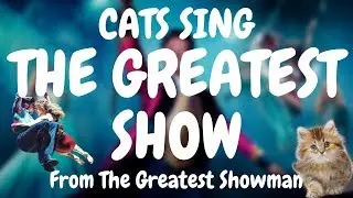 Cats Sing The Greatest Show from The Greatest Showman | Cats Singing Song