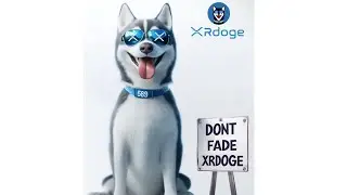 DNFT TRANSFORMATION | XRdoge HIGHEST GAINER PAST 24hr ON FIRST LEDGER | XRP HAS AWAKENED | XRPL |