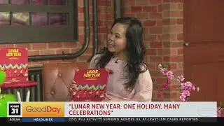 A new children book helps celebrate the Lunar New Year!