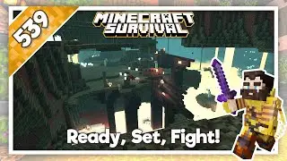 Minecraft Survival Longplay | Ep.539 - Fighting Wither Skeletons | Relaxing Lofi Mix (No Commentary)