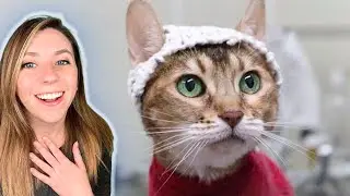 How Crochet Hats Are Helping Cats with Chronic Pain