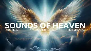 1 HOUR SOAKING WORSHIP INSTRUMENTAL || SOUNDS OF HEAVEN || PRAYER AND MEDITATION MUSIC.