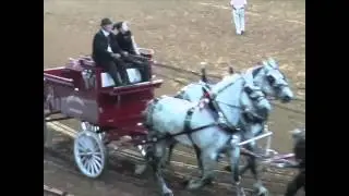 beautiful horses / красивейшие лошадки