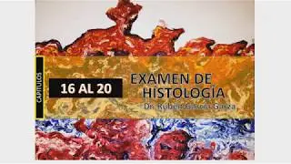 Examen de histología 4/4 (CAPÍTULOS 16 AL 20)