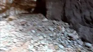 A Walk Up Blacktail Canyon