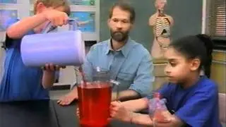 Circulatory and respiratory systems