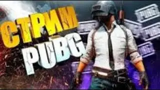 Стрим PUBG