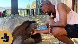 Reuniting With The Oldest Animal At The Teaching Zoo