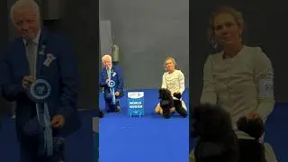WDS 2024 Zagreb - Чемпионат мира в Загреб, наши результаты