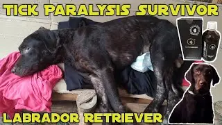 TICK PARALYSIS SURVIVOR