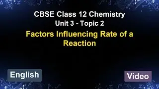 Unit 3 &ndash; Factors Influencing Rate of a Rea... | CBSE 12th Chemistry (English) | The 5-Minute Teacher