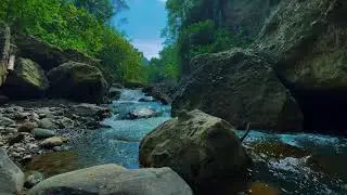 Calming River Stream Beside Lush Hills | Pure Water Flow for Deep Sleep and Relaxing Night