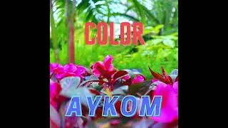 AyKom - Color (Audio)