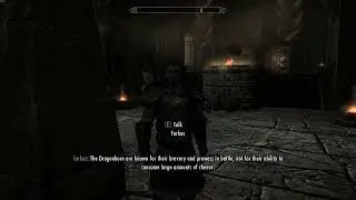 Skyrim Ai is hilarious...