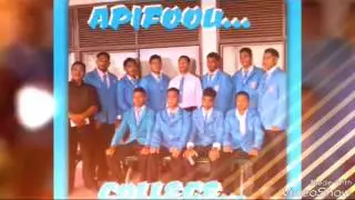 APIFOOU COLLEGE OF GRADE 4  CHAMPIONS 2016