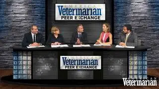 Pain Management in Companion Animals: New Therapies