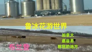 加拿大曼省，好偏僻？好冷？今天跟着我的镜头去看看，加拿大草原三省之一曼省的第二大城市布兰登吧！