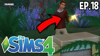 В ПОИСКАХ СОКРОВИЩ! | The Sims Vet Clinic от Tankee &mdash; Эпизод 18