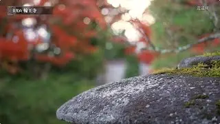 Shoyoen Garden