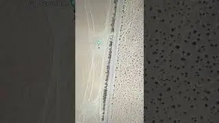 How is this possible in the California desert? 🏜️ 🤯 #shorts