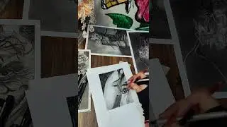 Butterfly Asma Art Realistic sketch with charcoal pencil #pencilart #drawing