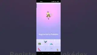 Evolution of Cutiefly 100% in Pokemon go
