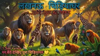 Chidiyagh lucknow | Zoological park Lucknow | Lucknow Zoo 🌐 | चिड़ियाघर लखनऊ #lucknow 