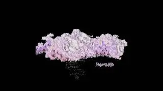 Ace prod  dreamclxxd