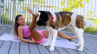 INTENSE Ab Workout&hellip; INTERRUPTED by Dog Chaos! 💥🐾