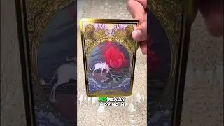 Scorpio  Your Hidden Strength and Spirit Guide Messages